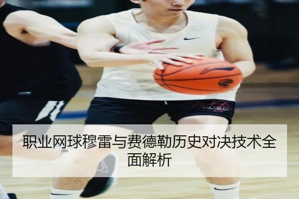 职业网球穆雷与费德勒历史对决技术全面解析